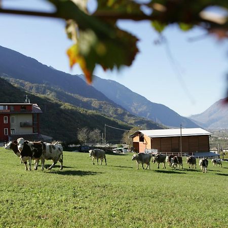 Agriturismo Stella Orobica Albosaggia Exterior foto